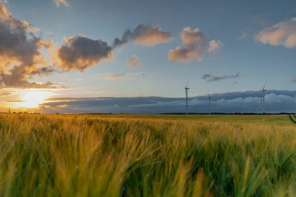 Vue Panoramique Belle Scène Campagne Champs Cultivés Avec Des Éoliennes — Photo