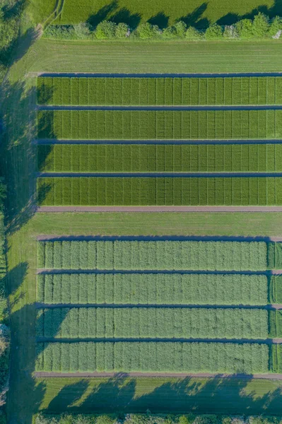 Abstraktní Letecký Pohled Venkovskou Krajinu Zemědělskými Poli Podle Experimentální Stanice — Stock fotografie