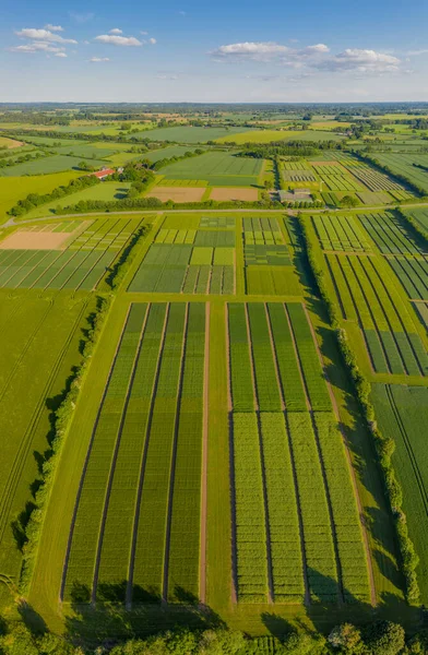 Abstract Aerial View Rural Landscape Agricultural Fields Experimental Station — Stock Photo, Image