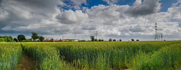 Panoramablick Auf Landschaft Norddeutschland Mit Biogasanlage Maisfeld Mit Landwirtschaftlicher Fabrik — Stockfoto