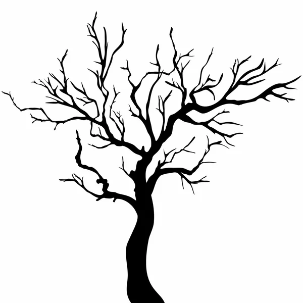 Arbre silhouette noire isolé sur fond blanc — Image vectorielle