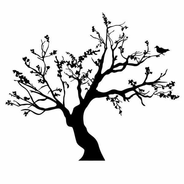 Arbre silhouette noire isolé sur fond blanc — Image vectorielle