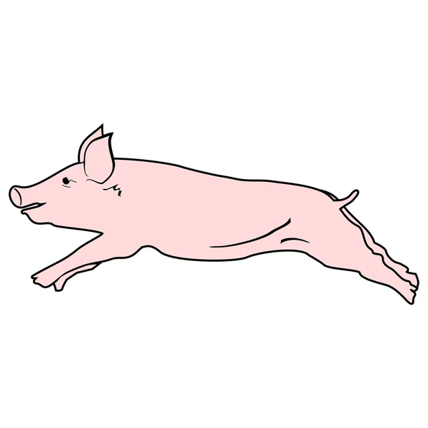 Schwein-Vektordesign. — Stockvektor