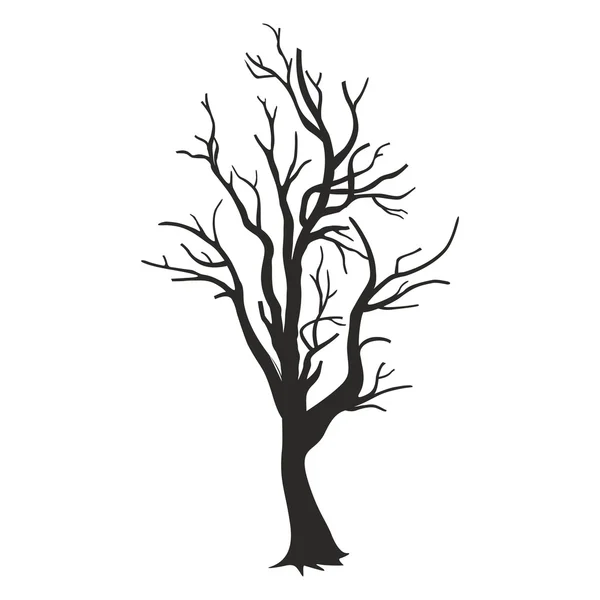 Silueta de árbol aislada sobre fondo blanco — Vector de stock