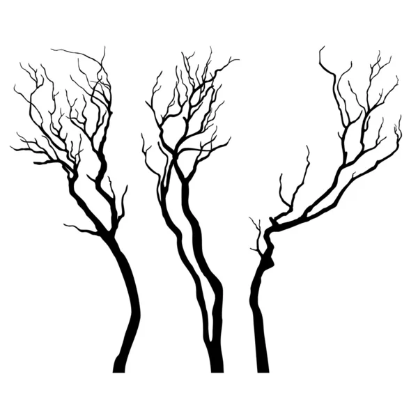 Branches nues isolées sur fond blanc — Image vectorielle
