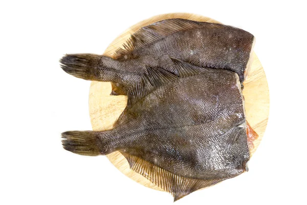 Lenguado de pescado crudo sobre un fondo blanco —  Fotos de Stock