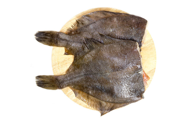 Raw fish flounder on a white background