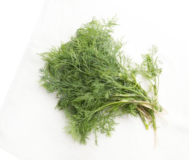 Parlak tablo üzerinde taze, dereotu