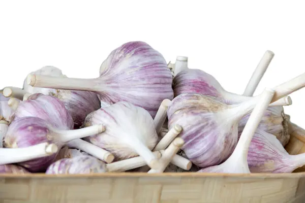 Garlic Heads Fresh Garlic Close White Background — Stock Photo, Image