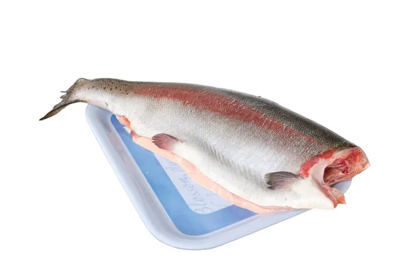 Peixe Truta Fresco Cru Sobre Fundo Branco Carcaça Peixe Sem — Fotografia de Stock
