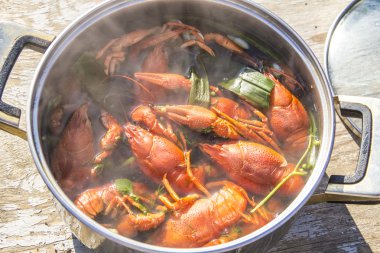 kolo vanilkový dort s cherry