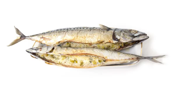 Stuffed fish mackerel on a white background — Stock Photo, Image