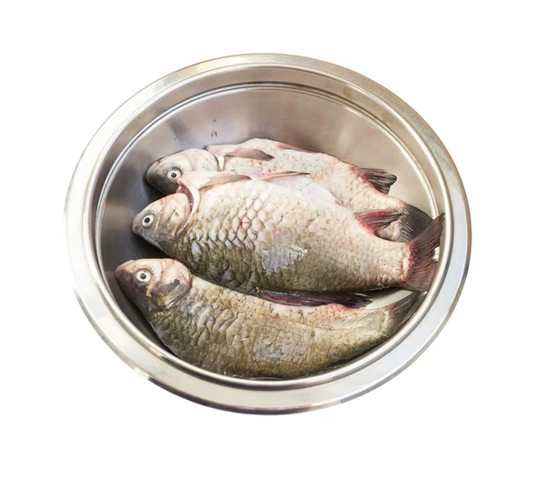 Raw fish crucian in a metal bowl — Stock Photo, Image