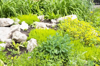 Peyzaj Bahçe parçası