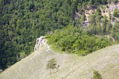 güzel dağ manzarası