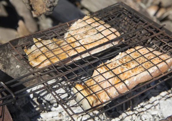 Salmão grelhado — Fotografia de Stock