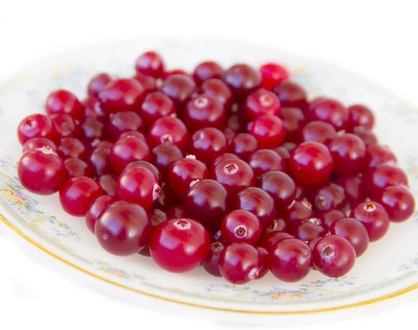 在盘子上成熟小红莓 — 图库照片