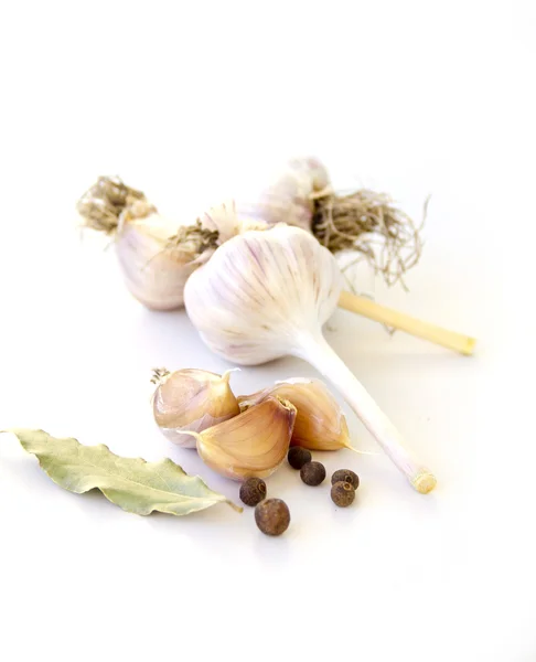 Garlic and spices on a white background — Stock Photo, Image
