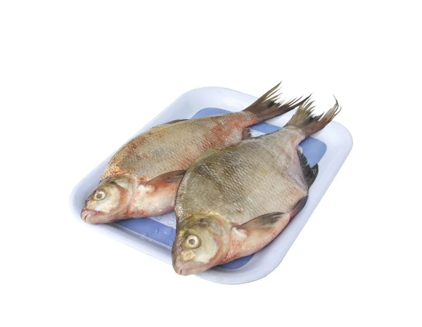 The raw fish bream — Stock Photo, Image