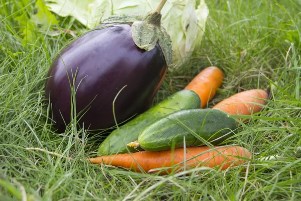 Les légumes reposent sur l'herbe verte — Photo