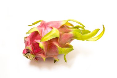 Dracaena Kanarya, meyve