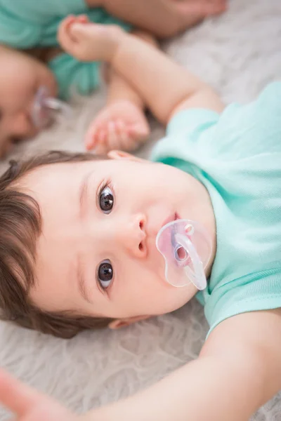 Aranyos baby ikrek — Stock Fotó