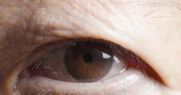 Primer plano de ojo marrón — Vídeos de Stock