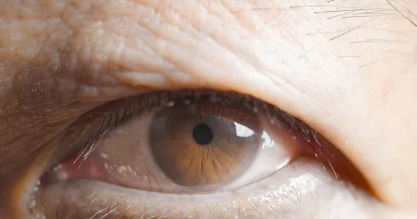 Крупным Планом Макро Выстрелил Пожилой Человек Два Карих Глаза Зрачком — стоковое фото
