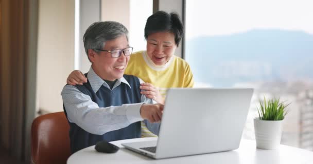 Seniorenpaar nutzt Laptop — Stockvideo