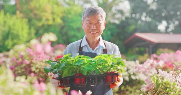 Uomo anziano in giardino — Video Stock