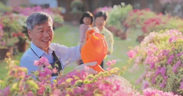 庭に水をやる先輩 — ストック動画