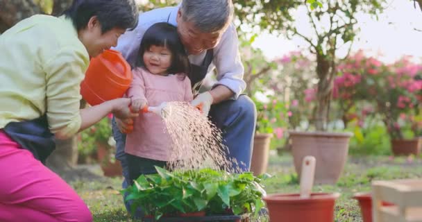 Старший чоловік поливає сад — стокове відео