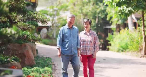 Aziatische senior paar zijn dwalen — Stockvideo