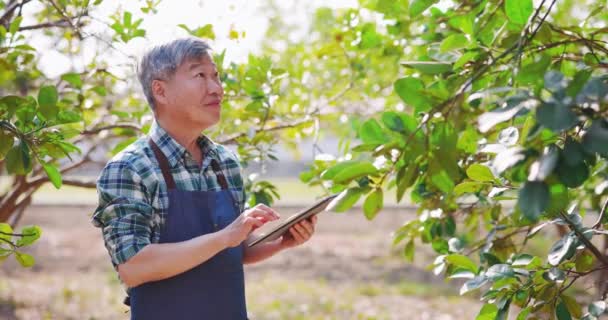 Trabajo del agricultor con tableta digital — Vídeo de stock