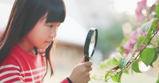 아시아 여자들은 확대경을 사용 한다 — 비디오