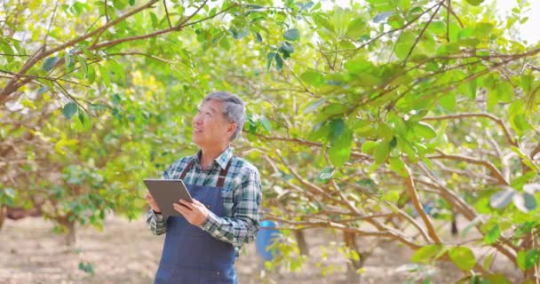 Bauern arbeiten mit digitalem Tablet — Stockvideo