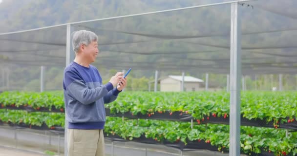 Agricultura tecnología concepto — Vídeos de Stock