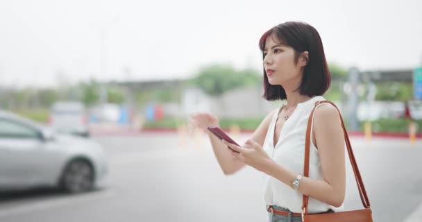 Geschäftsfrau bejubelt ein Taxi — Stockvideo