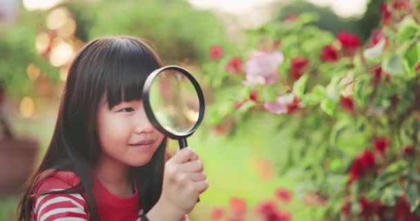 아시아 여자들은 확대경을 사용 한다 — 비디오