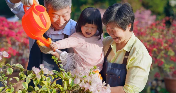 Autêntico Tiro Asiático Aposentado Avô Estão Regando Plantas Com Sua — Fotografia de Stock