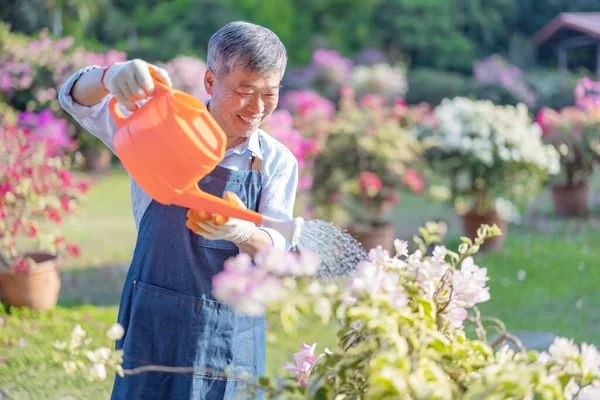 Authentic shot of asian retired senior man watering plants in the garden