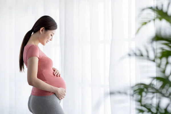 Vue Latérale Belle Femme Enceinte Asiatique Debout Près Fenêtre Maison — Photo