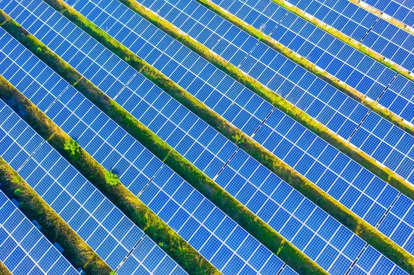 Foto Aérea Arriba Hacia Abajo Paneles Solares Granja Con Árbol —  Fotos de Stock