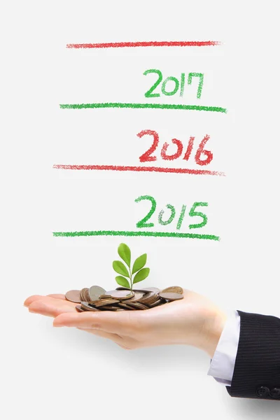Yeni yılda büyüyüp para ağacı — Stok fotoğraf