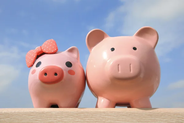 Pink piggy bank couple — Stock Photo, Image