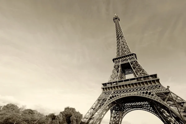 Eiffel tower in Paris — Stock Photo, Image