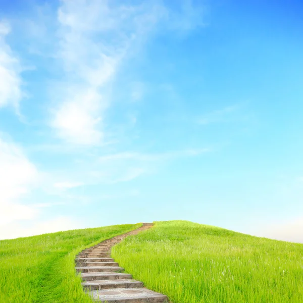 Green grass and up stairs — Stock Photo, Image