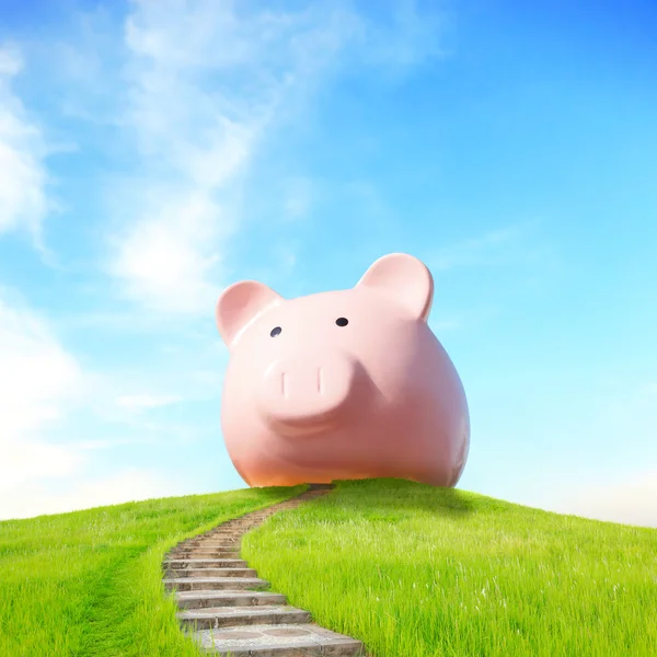 Pink piggy bank  and up stairs — Stock Photo, Image