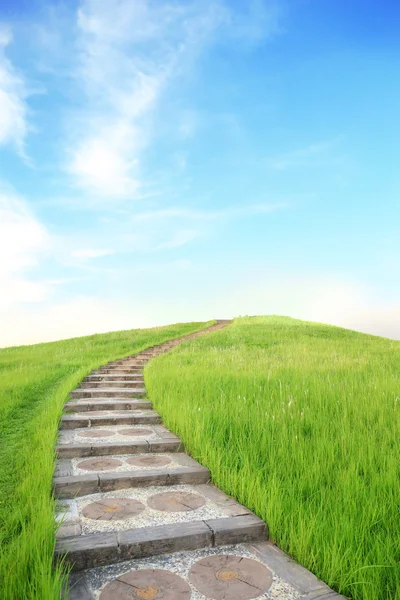 Grama verde e escadas — Fotografia de Stock