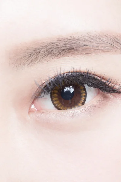 Beautiful  female eye — Stock Photo, Image